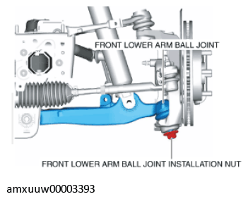 G11278981