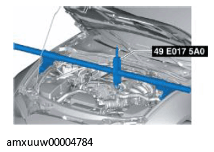 G11279538