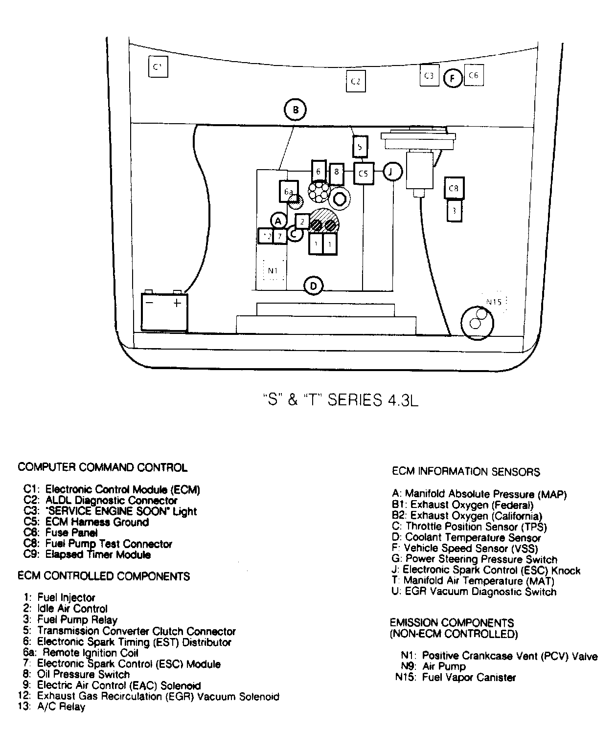 G113331