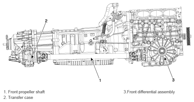 G11339686
