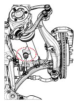 G11339888