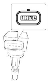 G11403841
