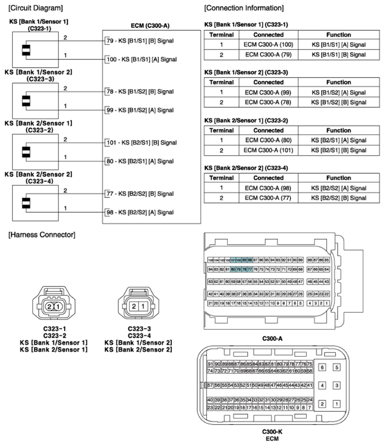 G11404370