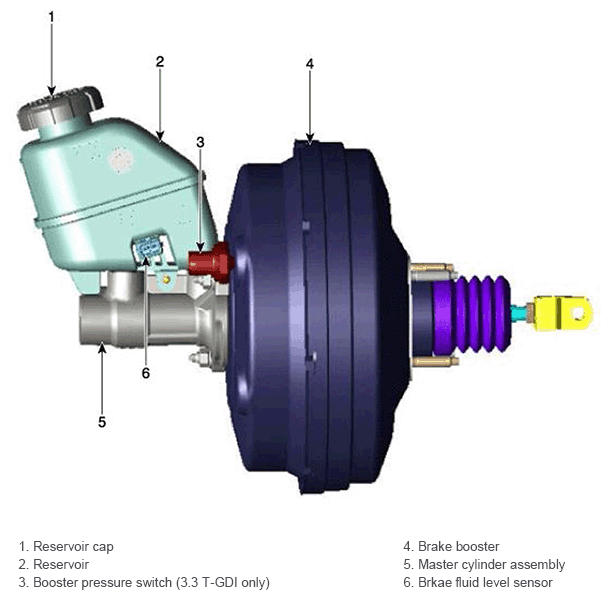 G11404994