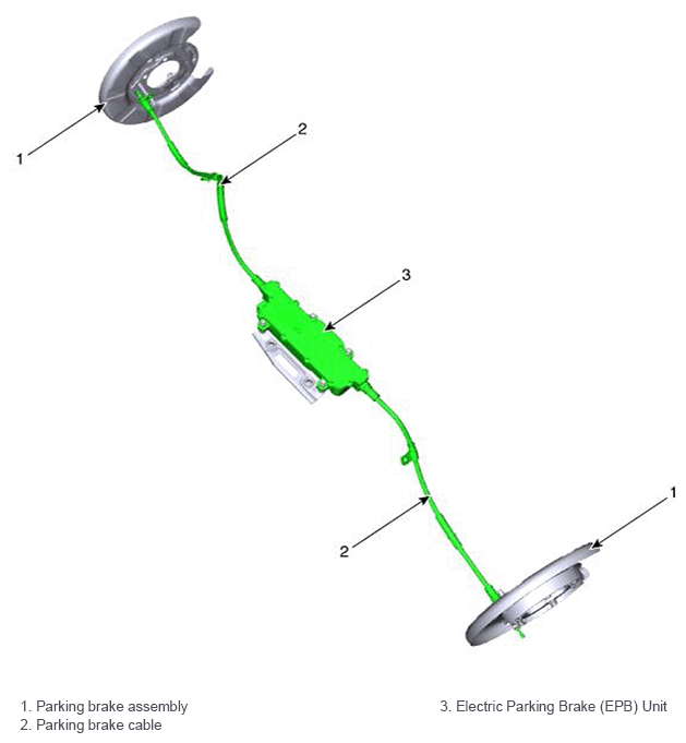G11405091