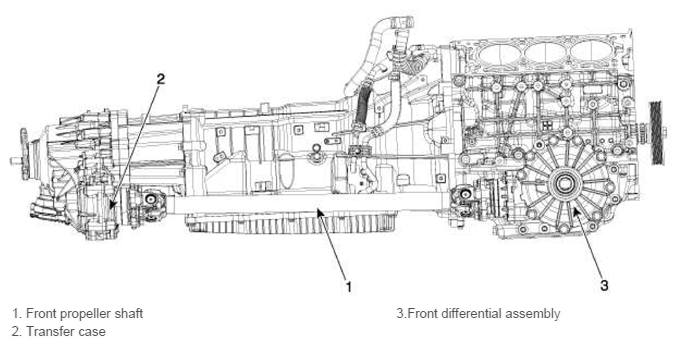 G11407260