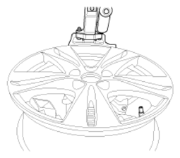 G11407599