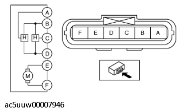 G11429628