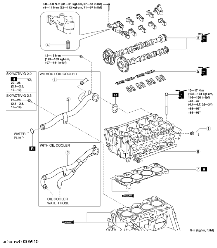 G11429680