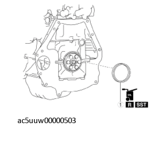 G11429919