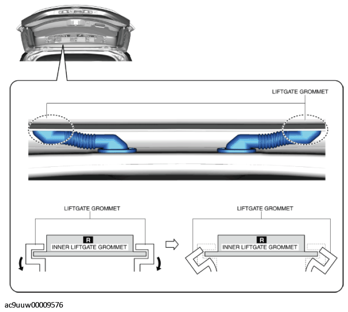 G11430896