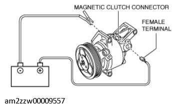 G11431321