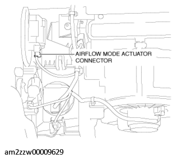 G11431356