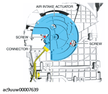 G11433632