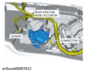 G11433691