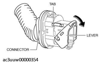 G11433919