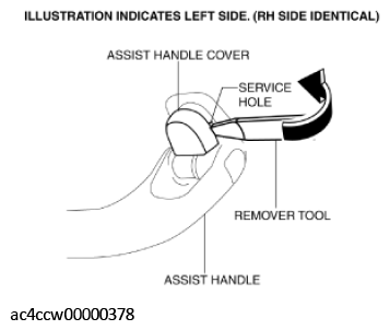 G11434851