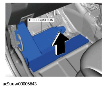 G11434956