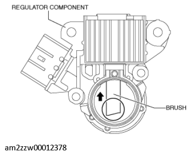 G11435560