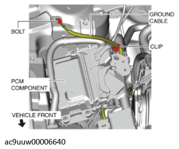 G11436582