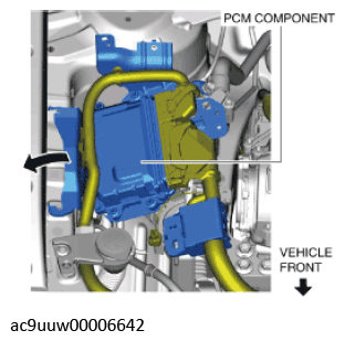 G11436584
