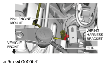 G11436586