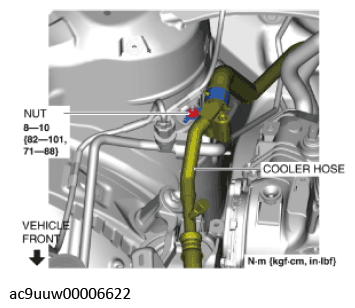 G11436651