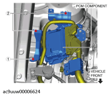 G11436653