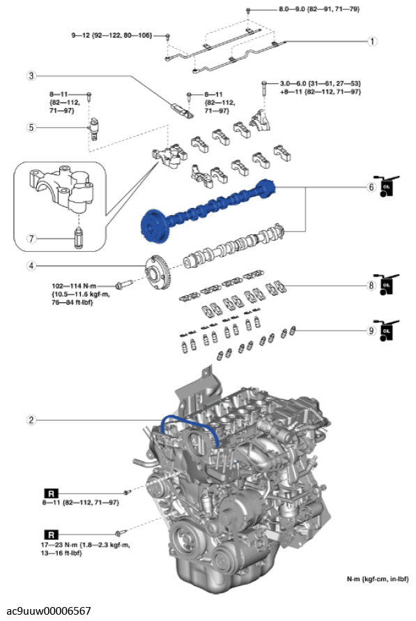 G11436725