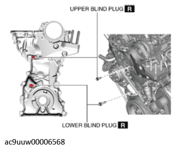 G11436728