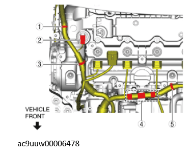 G11436796