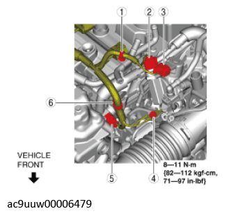 G11436797