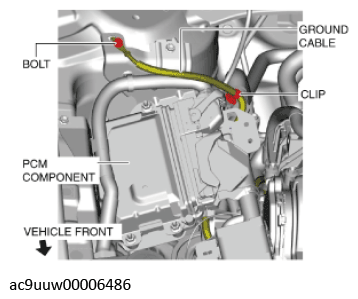 G11436804