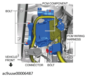 G11436805
