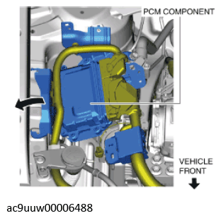 G11436806