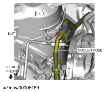 G11436807