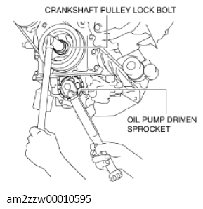 G11437079