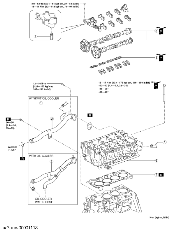 G11437081