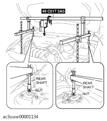 G11437310