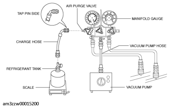 G11437552