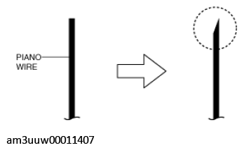 G11449126