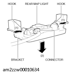 G11449784