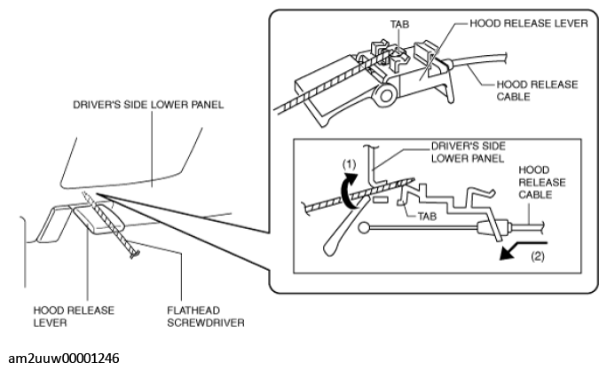G11472676