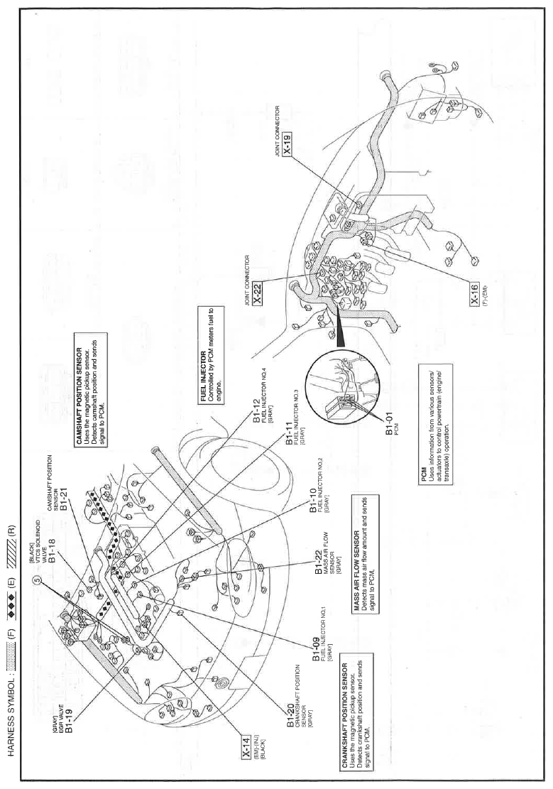 G11542910