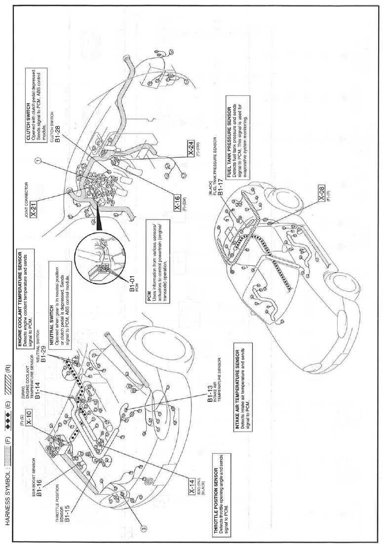 G11542912