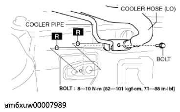 G11545501