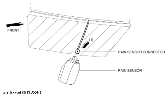 G11546371