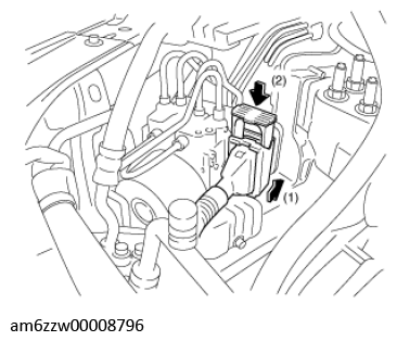 G11546496