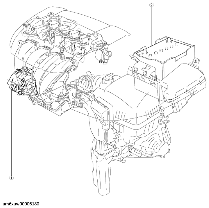 G11546663