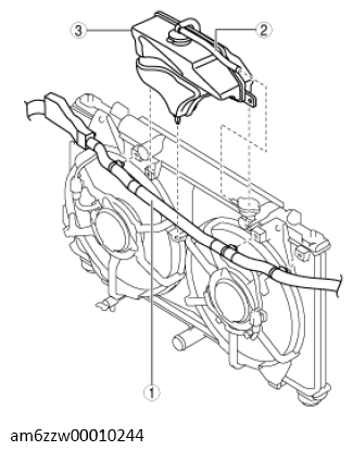 G11546787